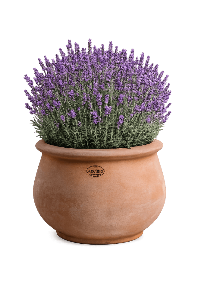 Preview: Pot de fleurs rond en terre cuite – Cachepot Montalcino